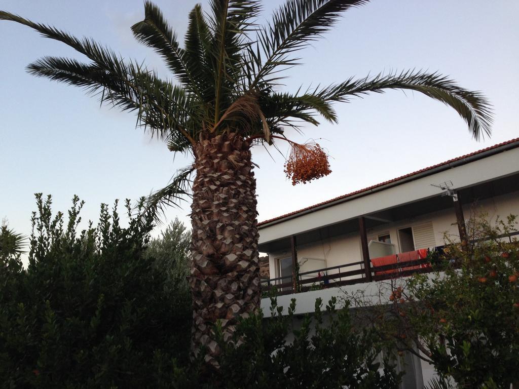 Sunningdale Hotel Agia Galini Zewnętrze zdjęcie